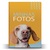 Álbum de Fotos Pet Dog Pointer Inglês p/ 500 Fotos 10x15