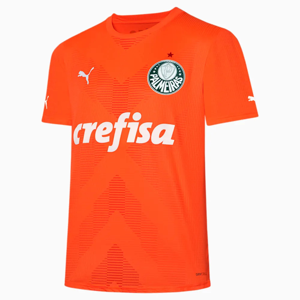 Camisa Palmeiras Goleiro 2023/2024 Torcedor Masculina - Laranja