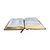 Bíblia de Estudo NAA Capa Luxo Preta Média - 48580