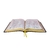 Biblia Para La Predicación De Avivamiento Reina-Valera 1960 - Bíblia Em Espanhol na internet