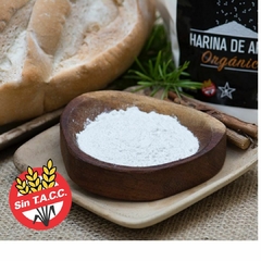 Harina de Arroz Organico Doy Pack 500gr Pampa´s