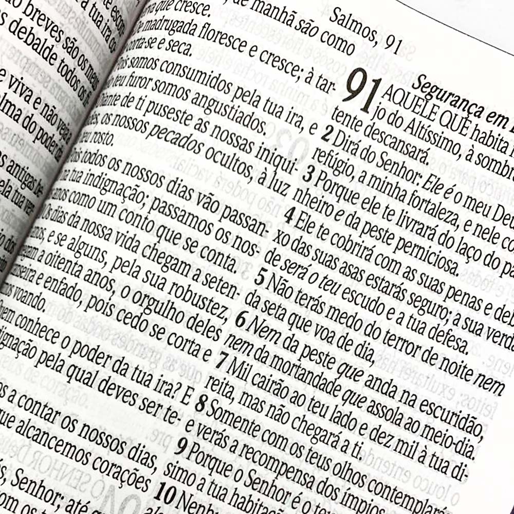 Biblia sagrada - ACF - salmo 23 (Em Portugues do Brasil): Ciranda