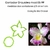 Cortador de Orquídeas - Mod 05 - Tam PP - Coleção Bia Cravol
