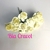 Mini Rosa de Papel pequena -cor Marfim- pct 12 unid