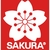 Borracha Sakura Foam Pequeno - loja online