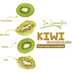 Kiwi Deshidratado 15g (Caja 12 piezas) en internet
