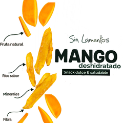 Mango Deshidratado 50g (Caja 10 piezas) en internet