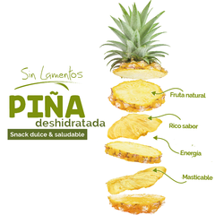 Piña Deshidratada 20g (Caja 12 piezas) en internet