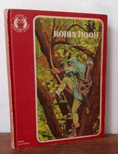 Clássicos da Literatura Infantil ( Robin Hood )