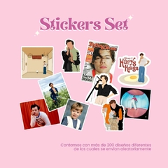 Harry Styles Stickers Set