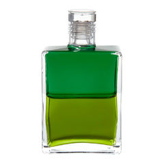 B113 VERDE ESMERALDA / VERDE OLIVA MÉDIO 50ml