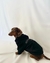 HOODIE PETS - comprar online