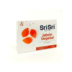 Ayurveda Jabon Veg. Glicerina X100G