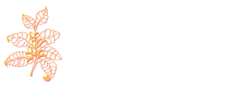 Loja Coffea