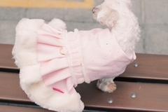 Vestido Princesa de Versalhes para cachorro e gato - comprar online