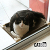 CatBed Suede Marrom - cama de gato para janela
