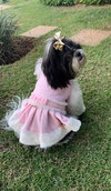 Vestido Princesa de Versalhes para cachorro e gato