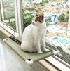 CatBed Savana - cama de gato para janela