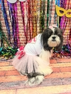 Fantasia Pet - Vestido Super Girl Rosa para cachorro