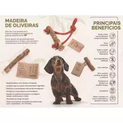 Mordedor de Madeira e Corda Olive Toy para cães raças peq e med na internet