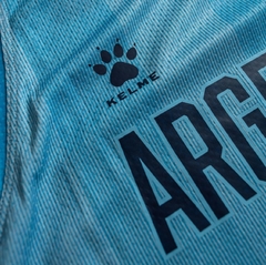 Camiseta Celeste Oficial Selección Argentina - comprar online