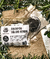 Shampoo sólido herbal 50g - comprar online