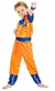 Disfraz Dragon Ball - Goku - 1-4
