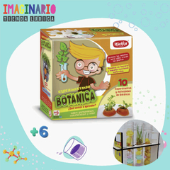 EXPERIMENTANDO - Botánica - comprar online