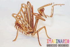 INSECTOS- ROMPECABEZAS 3D en internet