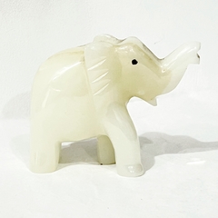 Elefante de onix blanco en internet