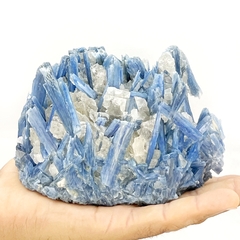 Cianita azul en matriz de cuarzo
