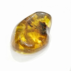 Pieza de ambar (A) - Ser Mineral
