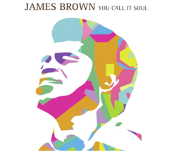 LP JAMES BROWN - YOU CALL IT SOUL (COLORIDO)