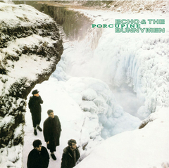 LP ECHO & THE BUNNYMEN - PORCUPINE