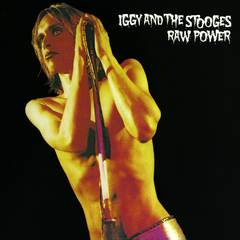 LP IGGY AND THE STOOGES - RAW POWER (DUPLO)