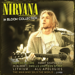 LP NIRVANA - IN BLOOM COLLECTION