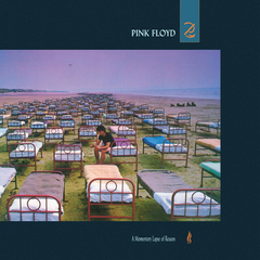 LP PINK FLOYD - A MOMENTARY LAPSE OF REASON