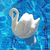 Clorador Flutuante Cisne Genco - comprar online