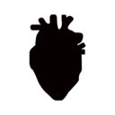 Logo de coraticum.site