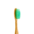 kit escova de dentes de bambu + ecocase - comprar online