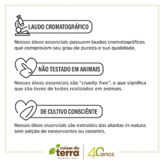 Imagem do Kit 3 Óleo Essencial 100% Puro - EUCALIPTO + MENTA PIPERITA+ TEA TREE