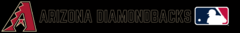 Banner da categoria ARIZONA DIAMONDBACKS