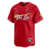 Jersey St. Louis Cardinals Masculina - CityConnect 2024 - #28 ARENADO