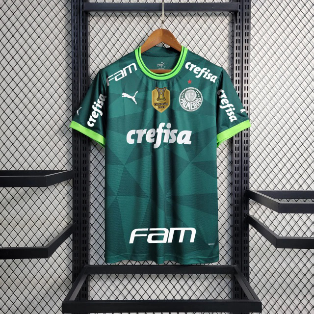 Camisa do Palmeiras II 2023 Campeão Brasileiro 2022 Puma - Masculina em  Promoção