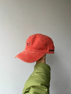 Gorra Salmon