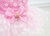 Vestido Rosa para Cachorros Tule Floral - A194 na internet