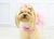 Imagem do Vestido Rosa para Cachorros Tule Floral - A194