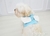 Peitoral para Cachorros Anjinho Azul - D118 - Oh My Dog!