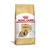 RAÇÃO PET SHIH TZU ADULT 2,5KG SC - Royal Canin