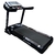 Esteira Elétrica Evolution Fitness Evo 5000 - 110V na internet